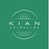Logo KIAN